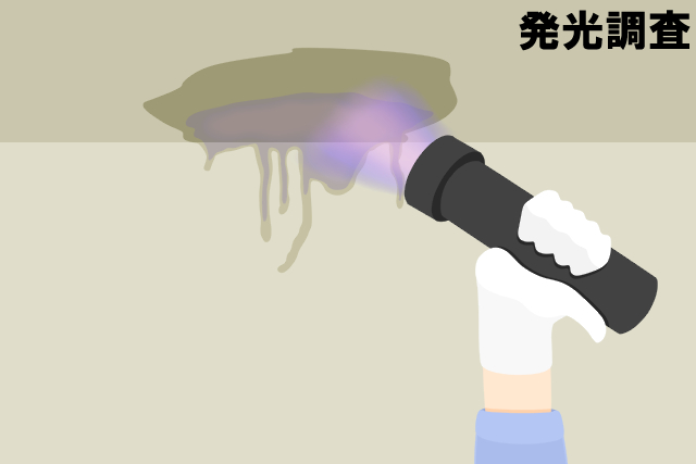 発光液調査