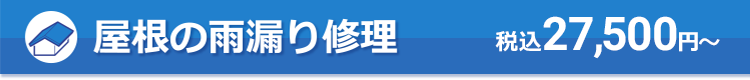 屋根の雨漏り修理