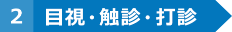 目視・触診・打診