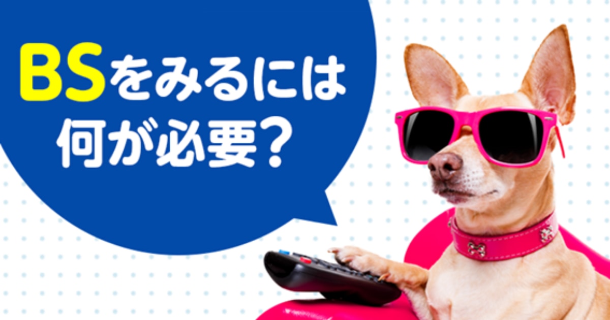 BSを見るには何が必要?