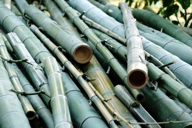 竹の伐採方法