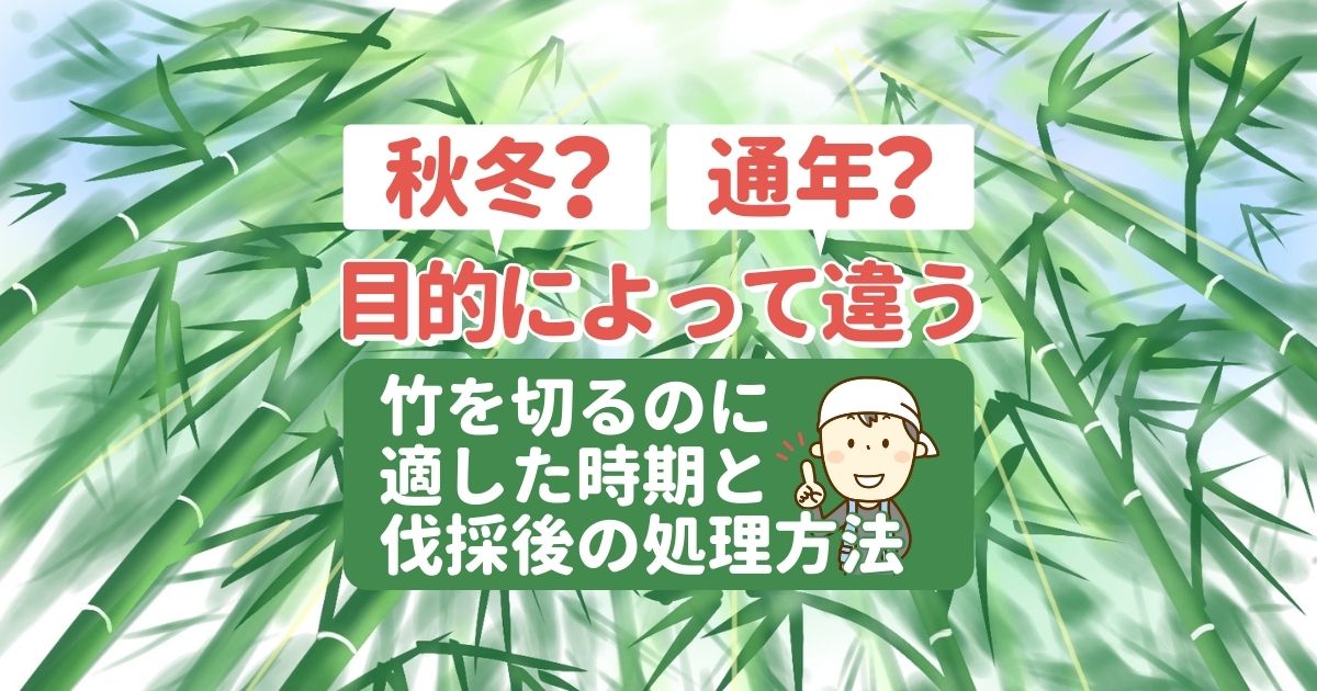 竹を切るのに適した時期と伐採後の処理方法