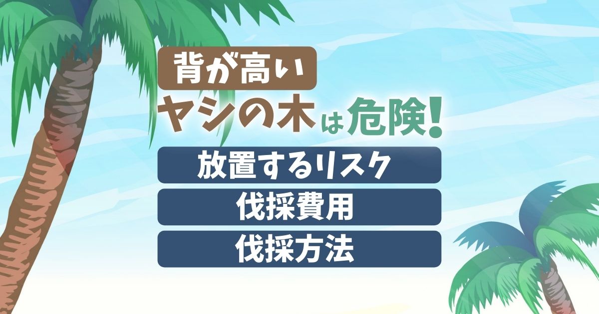 お安く！ワシントンヤシ 引取り限定