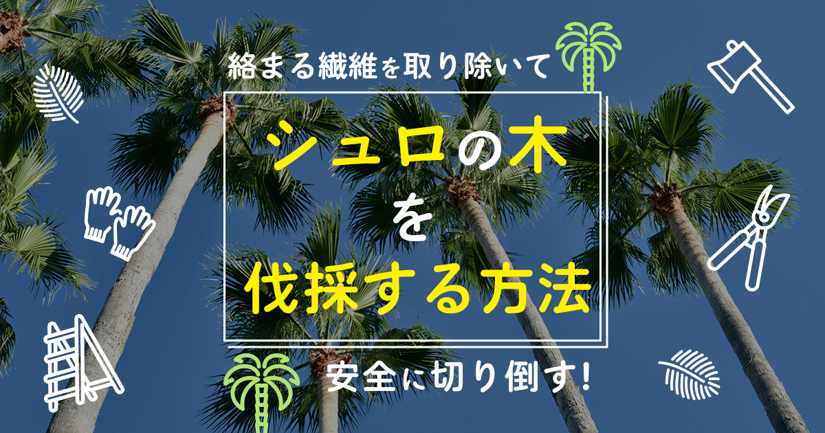 シュロの木の伐採方法