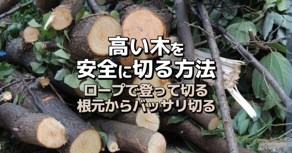 高い木を切る方法は2通り！必要な準備や安全のための注意点とは