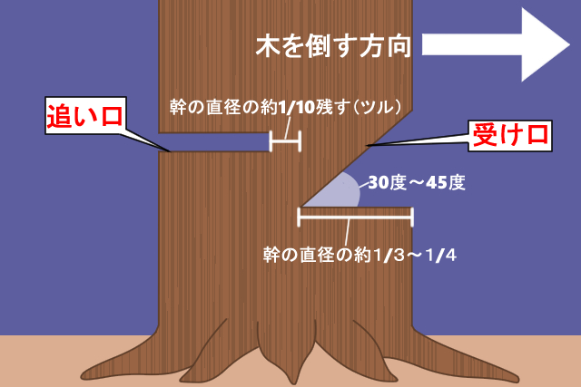 伐採の方法