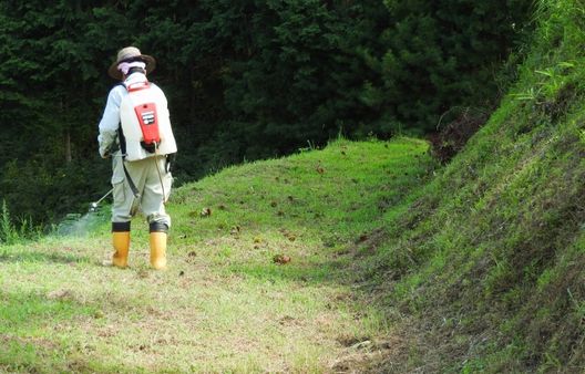 草刈り機を使わずに除草する方法