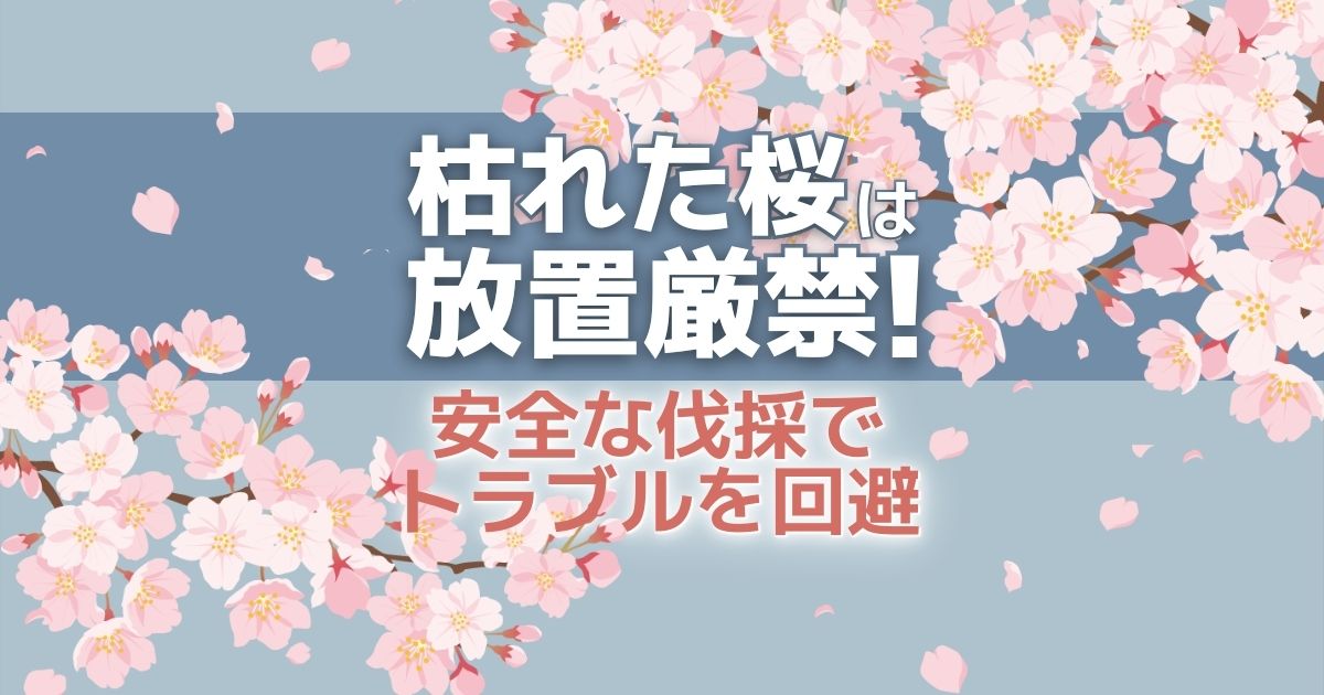 【初心者向け】桜を伐採・抜根して放置トラブルの発生を防ぐ方法