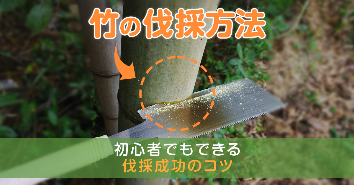 竹を伐採する方法