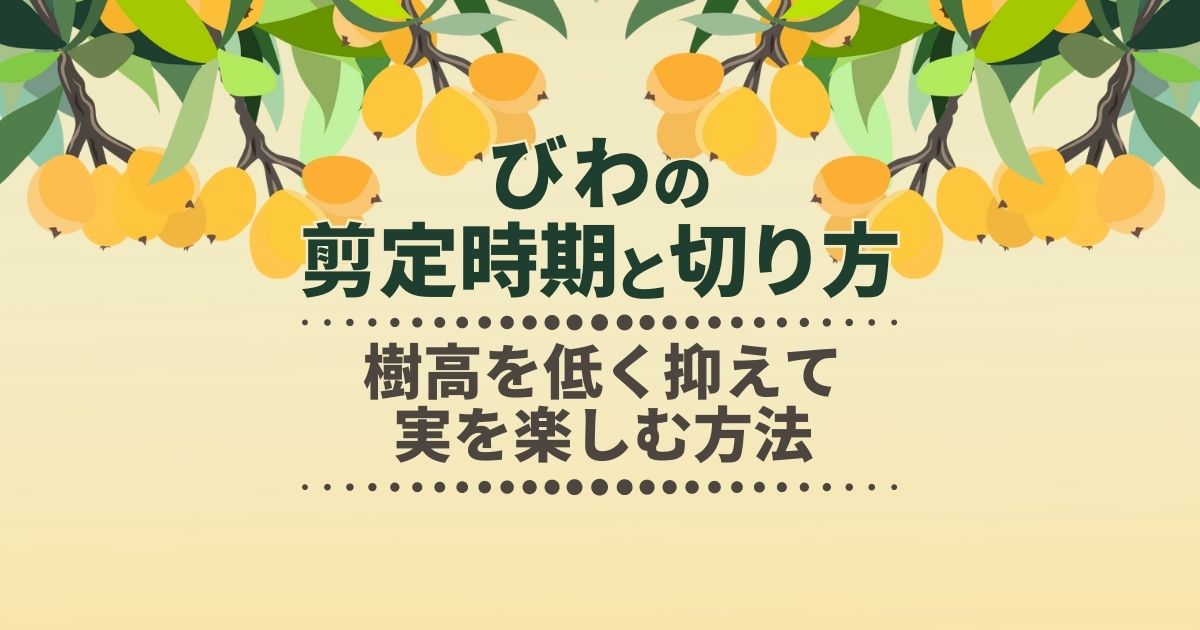 びわの木を切る方法と注意する点・剪定で小さくすることも可能