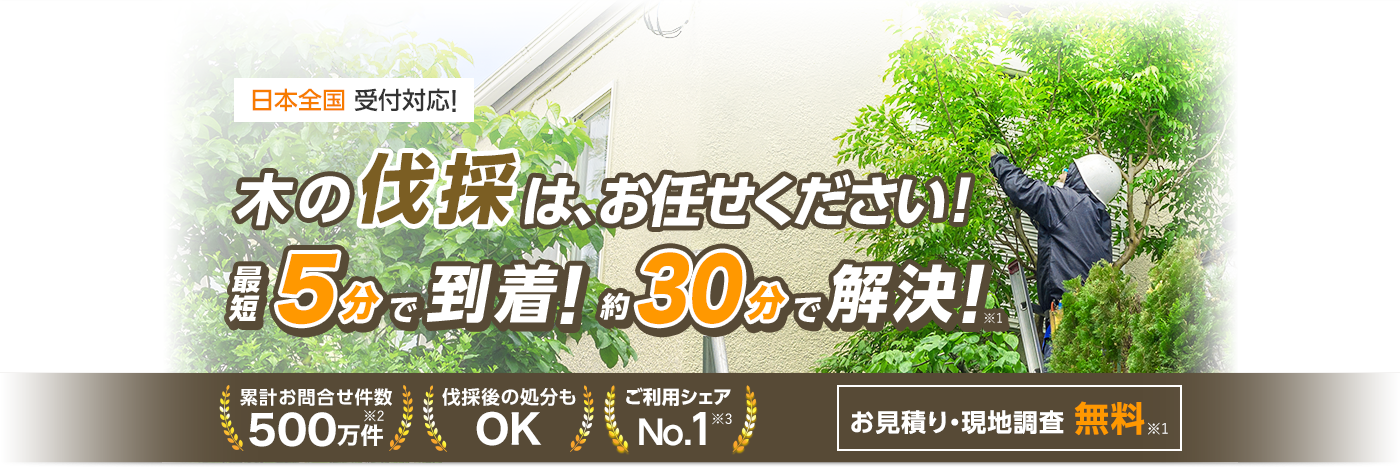 伐採110番｜庭木の伐採、剪定・間伐などお庭周りのお困りごとに対応！