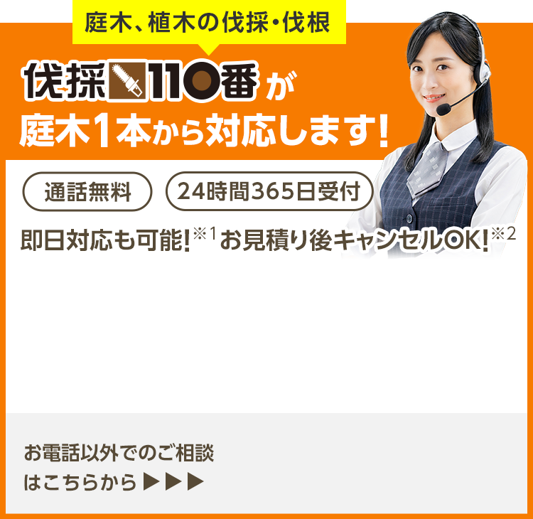 今すぐお電話で無料相談！