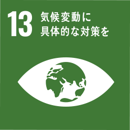 SDG3