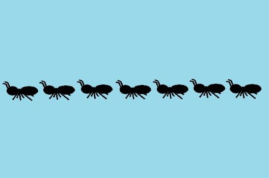 黒アリ駆除には薬剤が効果的！その種類と実害について詳しく教えます