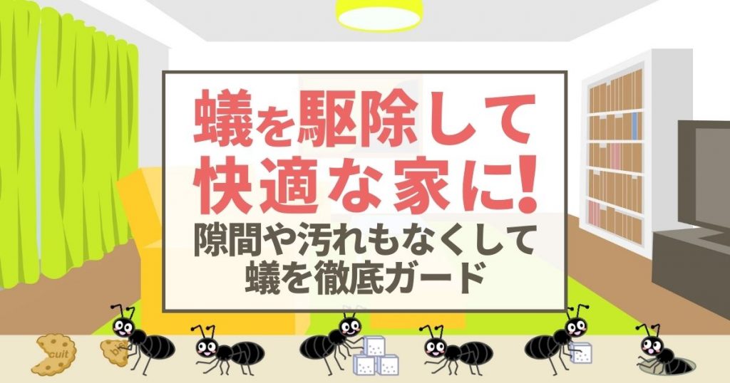 蟻を駆除して室内から追い出せ！4つの駆除方法と5つの予防策を解説