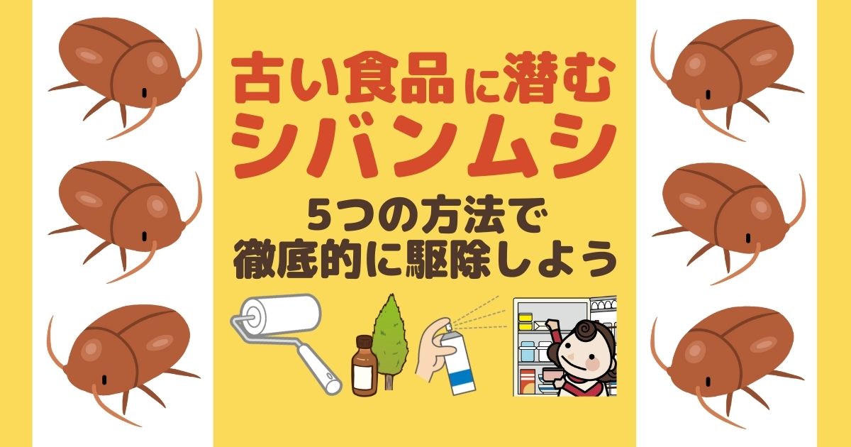 シバンムシを駆除する5つの方法！二次被害を防ぐ予防策もご紹介