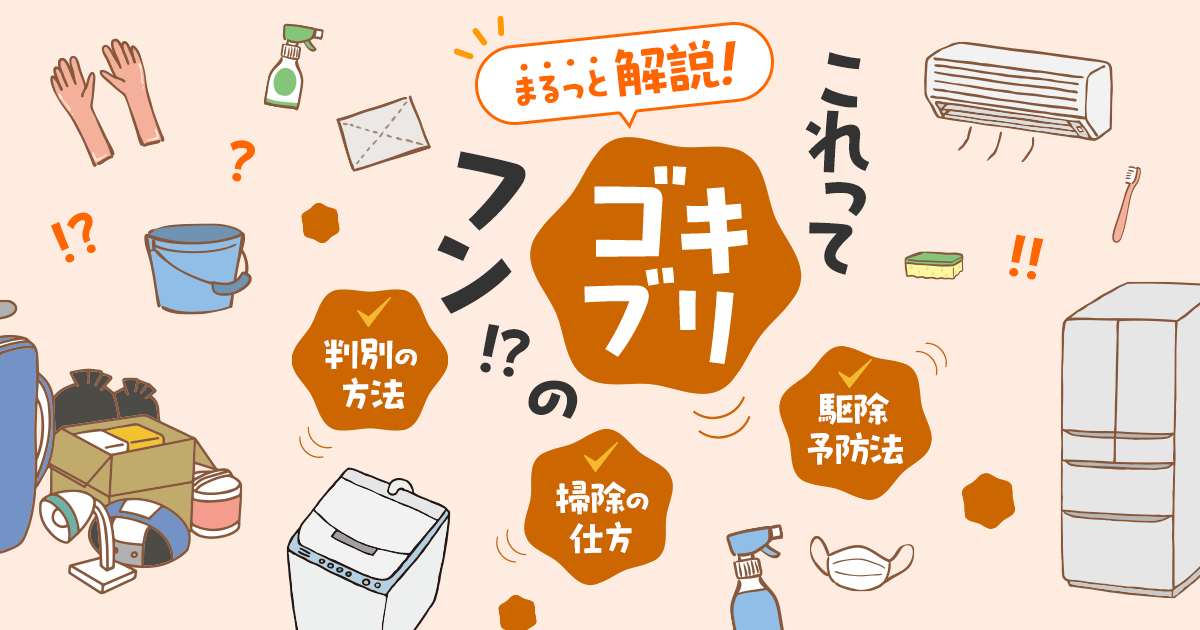 ゴキブリのフン　解説　