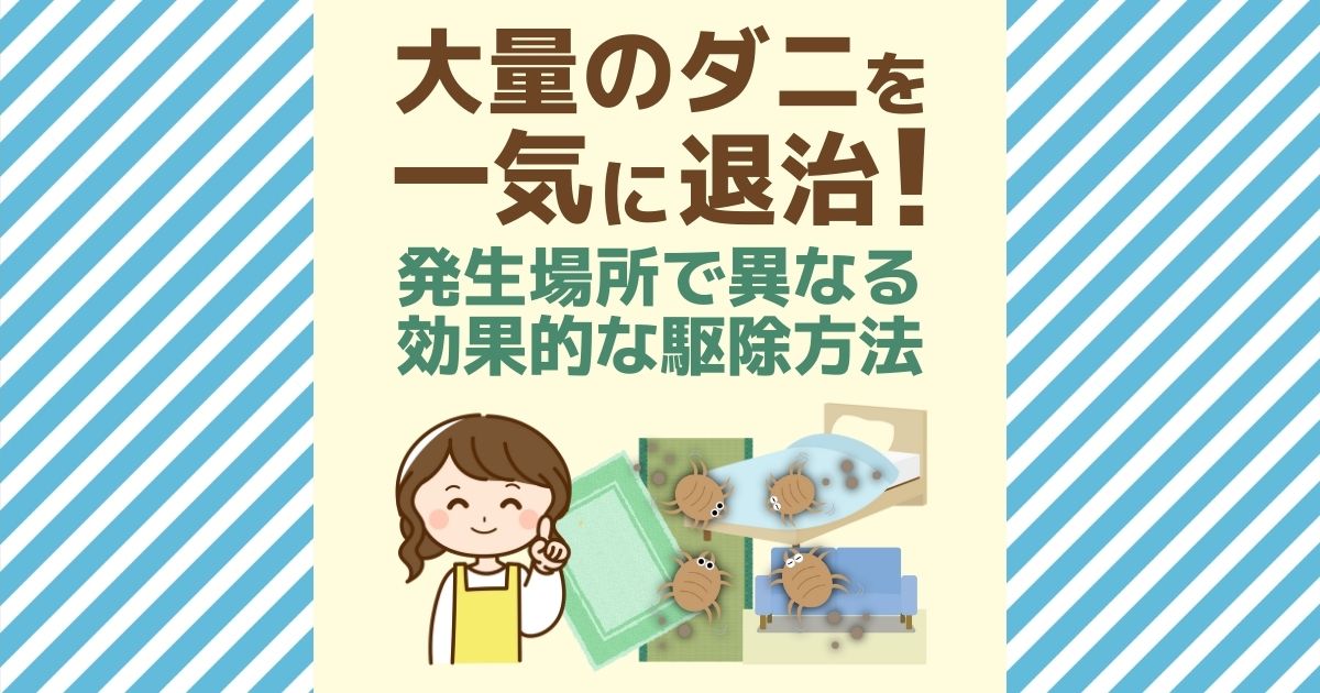 ダニ退治で即効性が高いのは薬剤 布団や畳に潜むダニを駆除する方法 害虫駆除110番 ダニ退治で即効性が高いのは薬剤 布団や畳に潜むダニを駆除する方法 害虫駆除110番