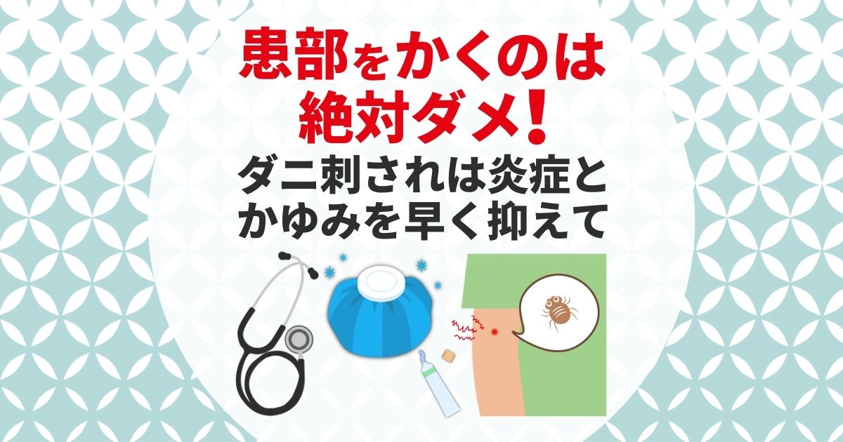 ダニに刺された跡の治し方 ひっかき厳禁 症状によってはすぐ病院へ 害虫駆除110番 ダニに刺された跡の治し方 ひっかき厳禁 症状によってはすぐ病院へ 害虫駆除110番