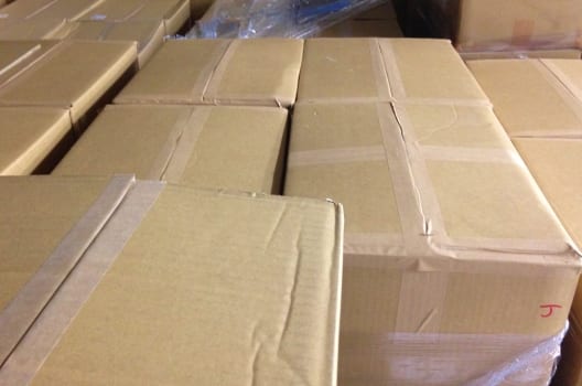 ゴキブリの産卵時期や場所は種類で異なる 卵の特徴や駆除方法を解説 害虫駆除110番