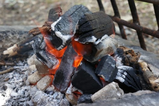 ヤスデの卵は大量発生のサイン 正しい駆除対策方法をご紹介します 害虫駆除110番