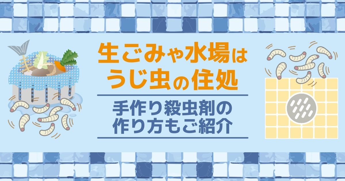 生ごみや水場はうじ虫の住処 手作り殺虫剤の作り方もご紹介