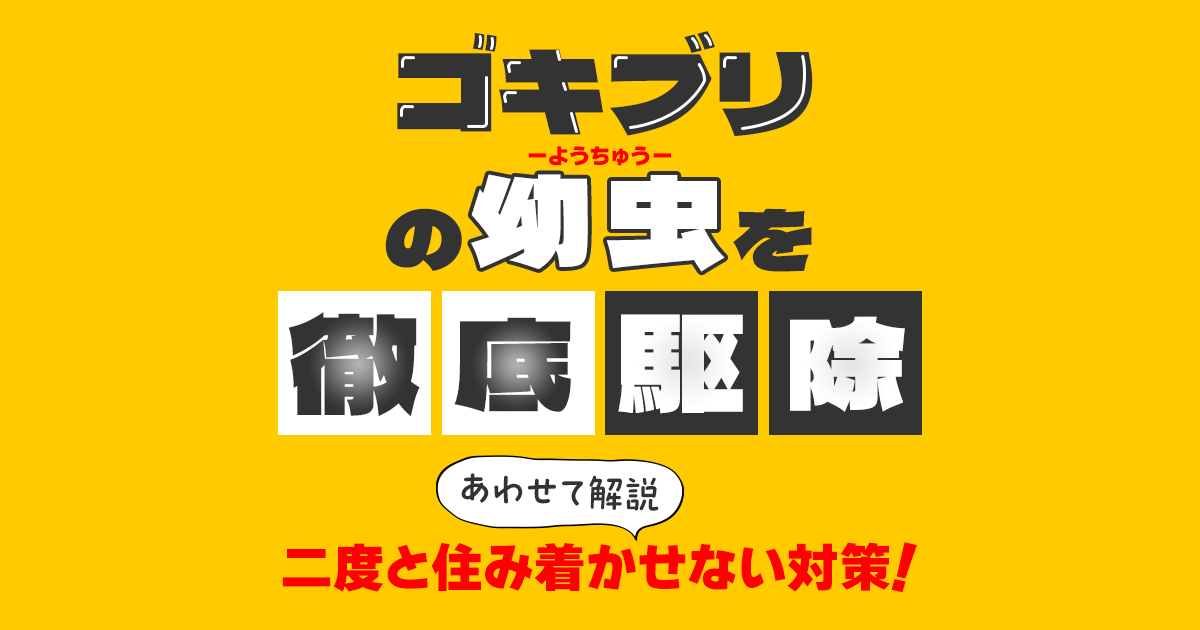 ゴキブリの幼虫を徹底駆除　二度と住み着かせない対策！