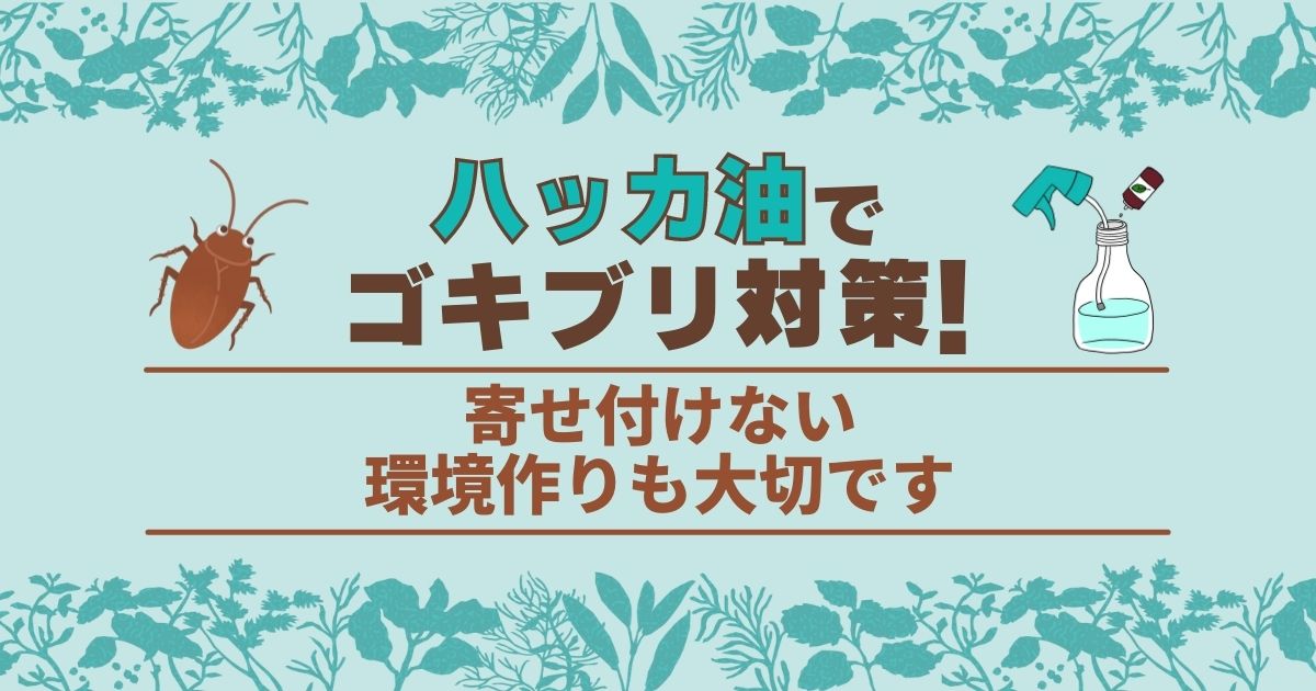 ゴキブリ対策にはハッカ油スプレーが効果的 使い方や注意点をご紹介 害虫駆除110番