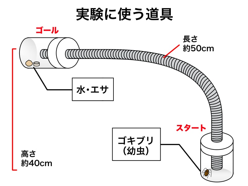 ドレンホースをゴキブリが登れるかの実験