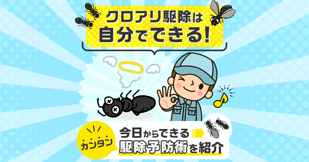 クロアリ駆除の方法