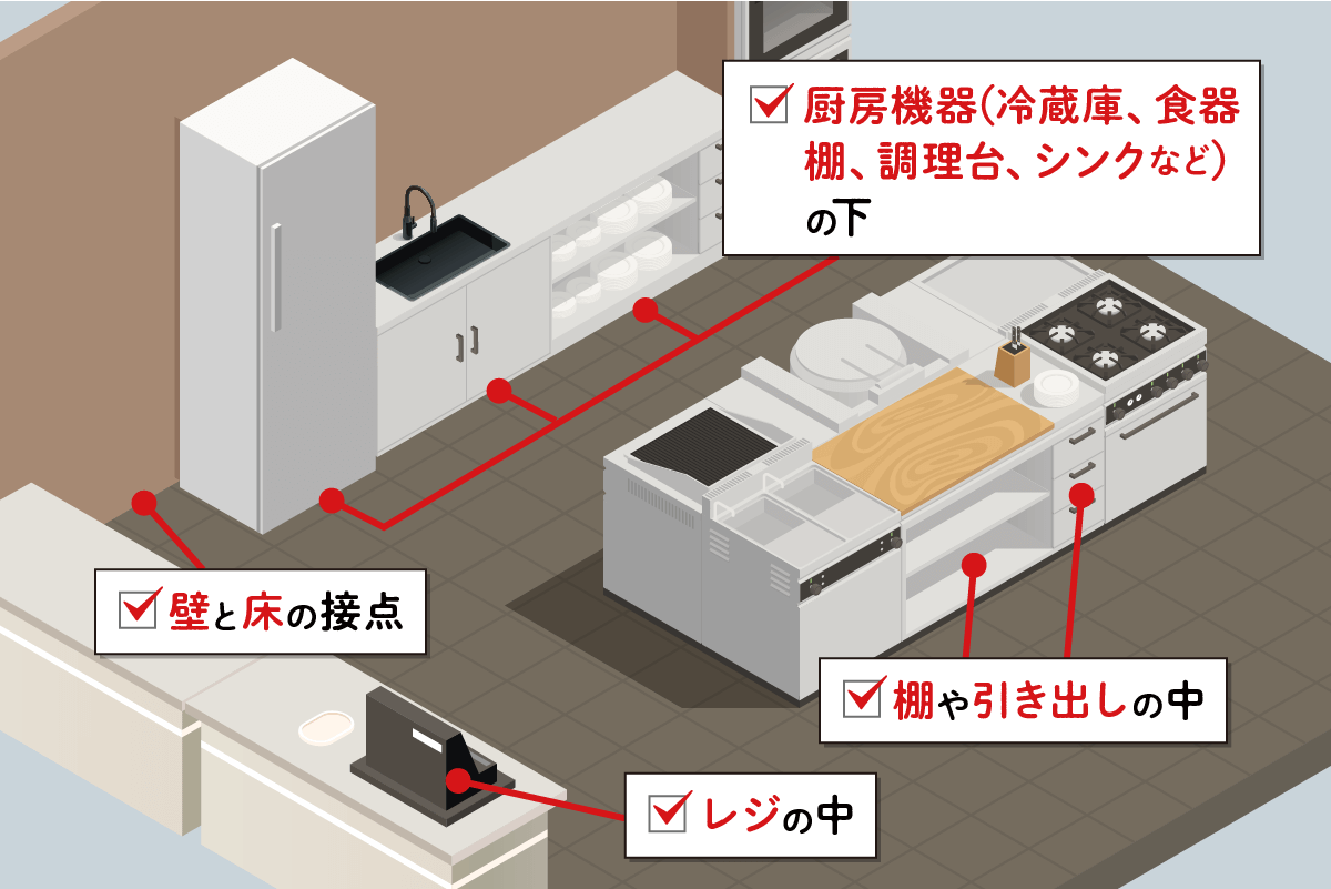 ベイト剤設置