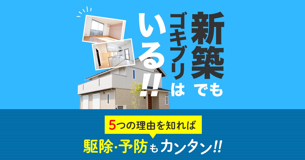 新築 ゴキブリいる５つの理由 駆除・予防もカンタン