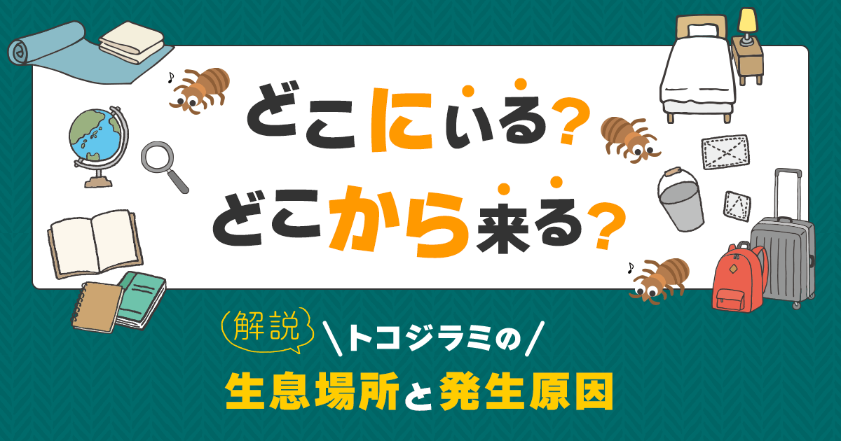 トコジラミ　生息場所　発生原因