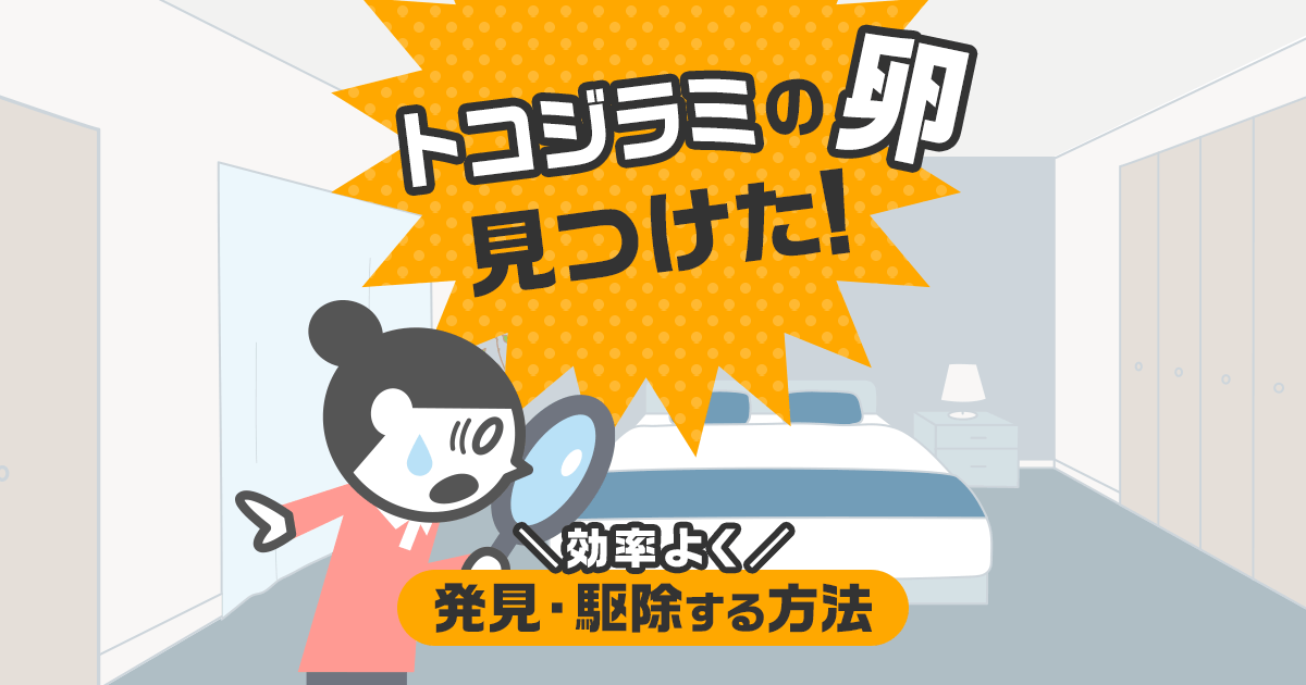 トコジラミの卵見つけた！効率よく発見・駆除する方法
