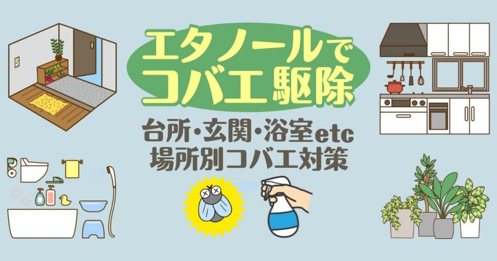 エタノールで　コバエ駆除 台所・玄関・浴室etc 場所別コバエ対策