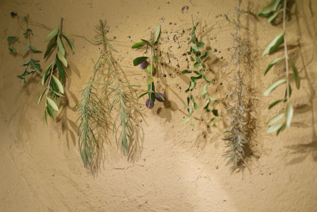 ベランダ菜園のコバエ駆除と対策 ハーブの同時栽培で害虫予防も 害虫駆除110番