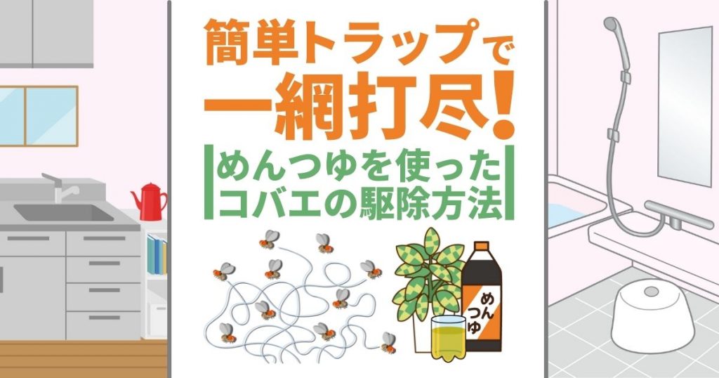 簡単トラップで一網打尽！ めんつゆを使ったコバエの駆除方法