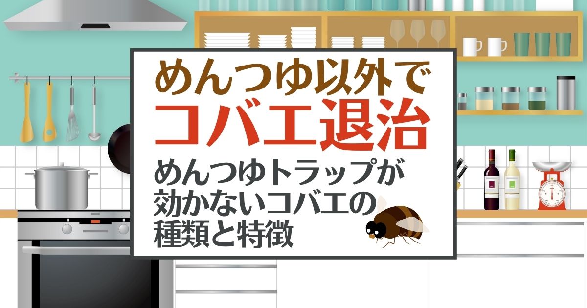 コバエ退治はめんつゆ以外でも おすすめをご紹介 予防法も解説 害虫駆除110番