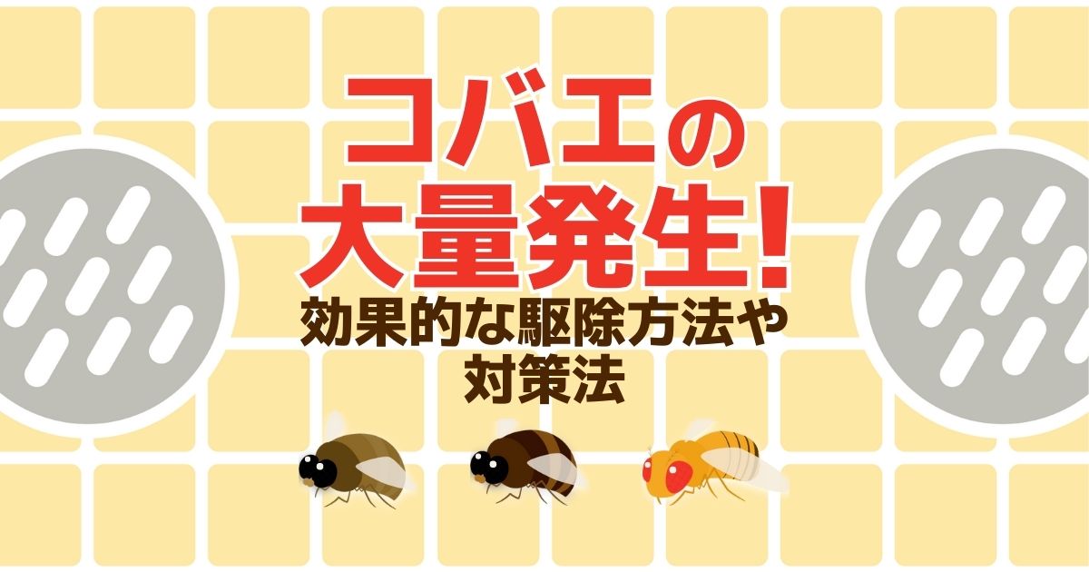 コバエの全滅方法4選 大量発生を予防する対策にも注目 害虫駆除110番