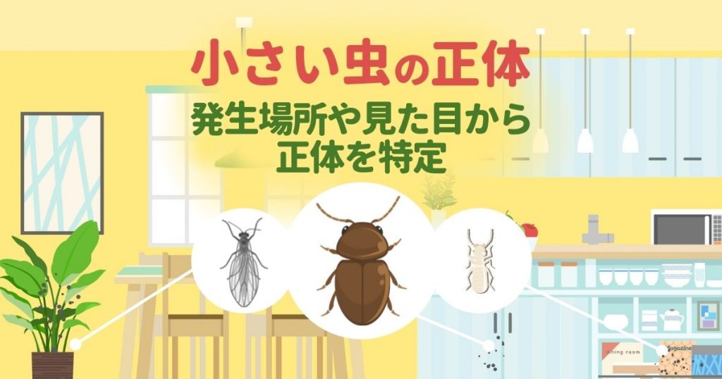 小さい虫の正体 発生場所や見た目から正体を特定