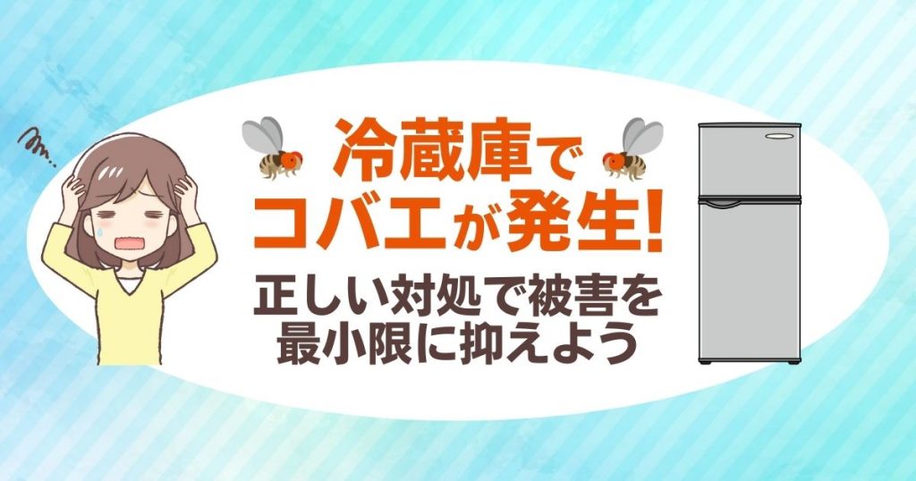 "冷蔵庫でコバエが発生！ 正しい対処で被害を最小限に抑えよう"