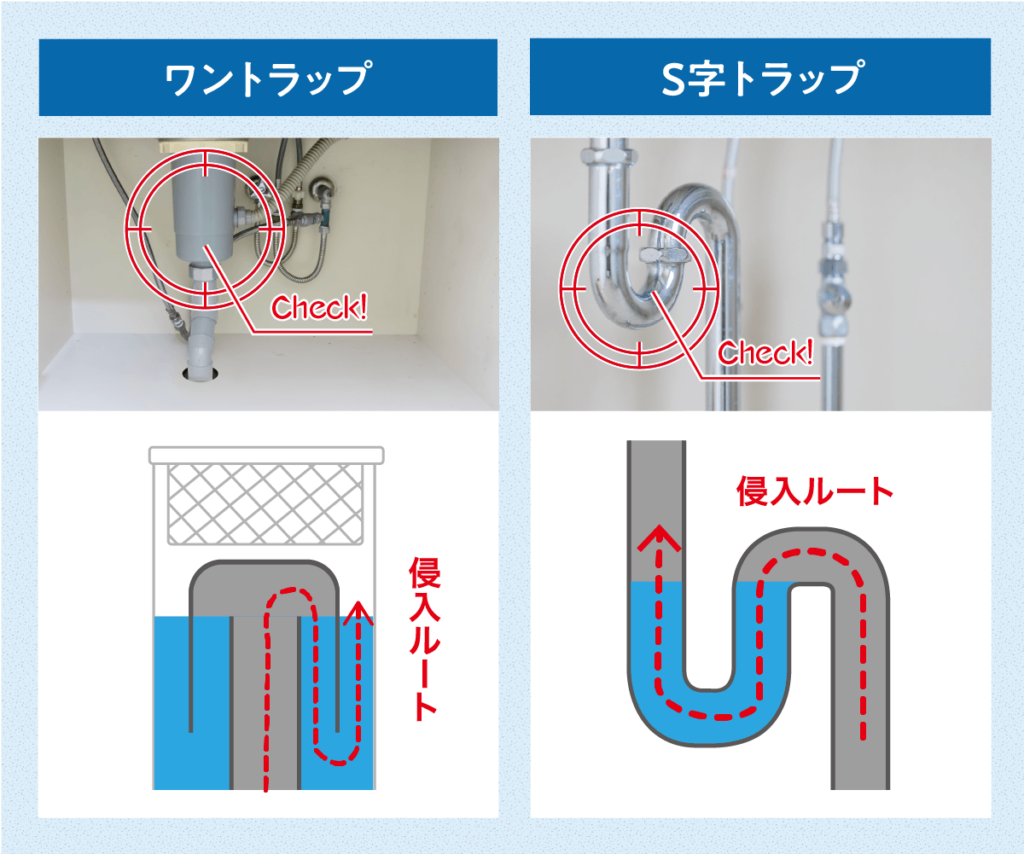 ゴキブリが排水トラップを通り抜ける