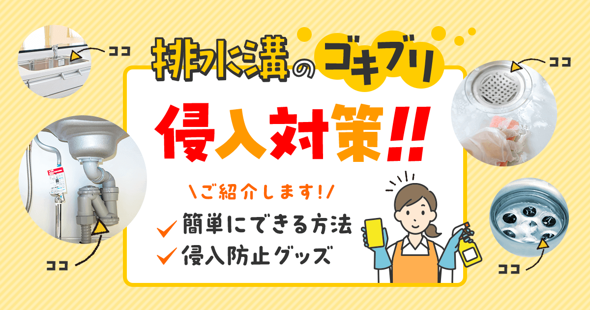 排水溝のゴキブリ侵入対策簡単にできる方法＆侵入防止グッズを紹介