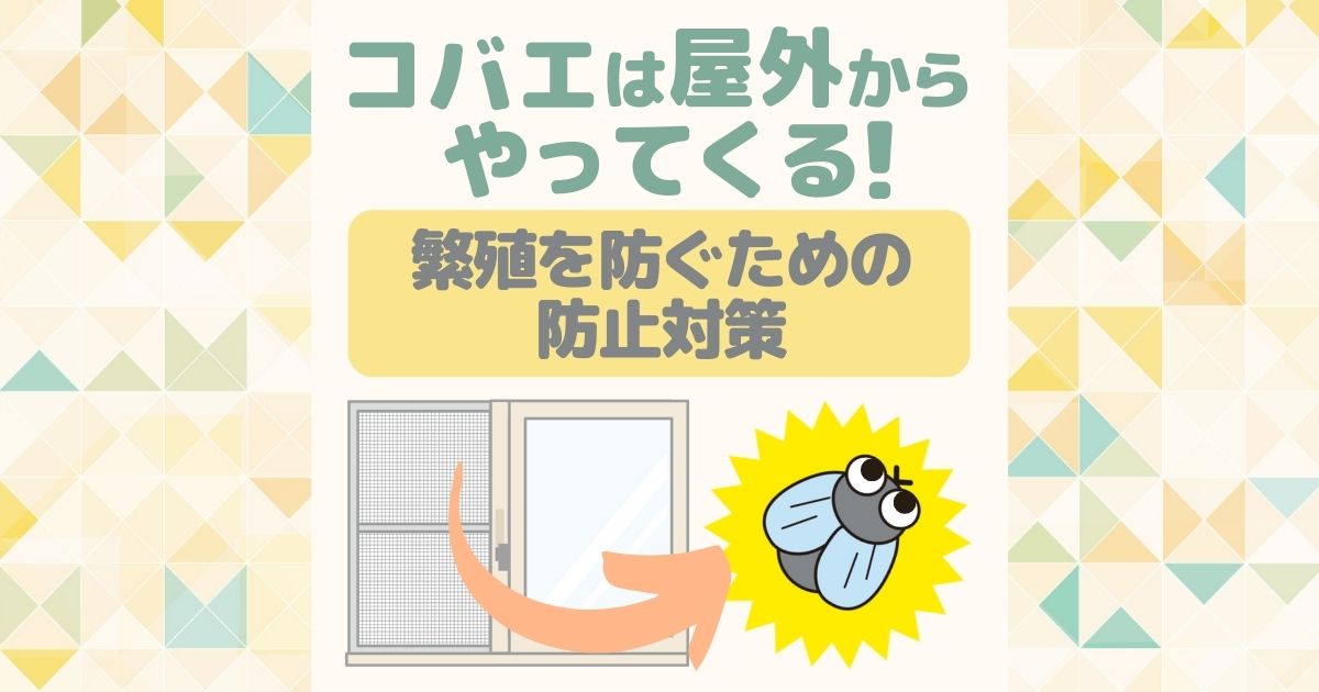 コバエはどこから 台所や風呂からの大量発生を確実に防ぐ3つの対策 害虫駆除110番