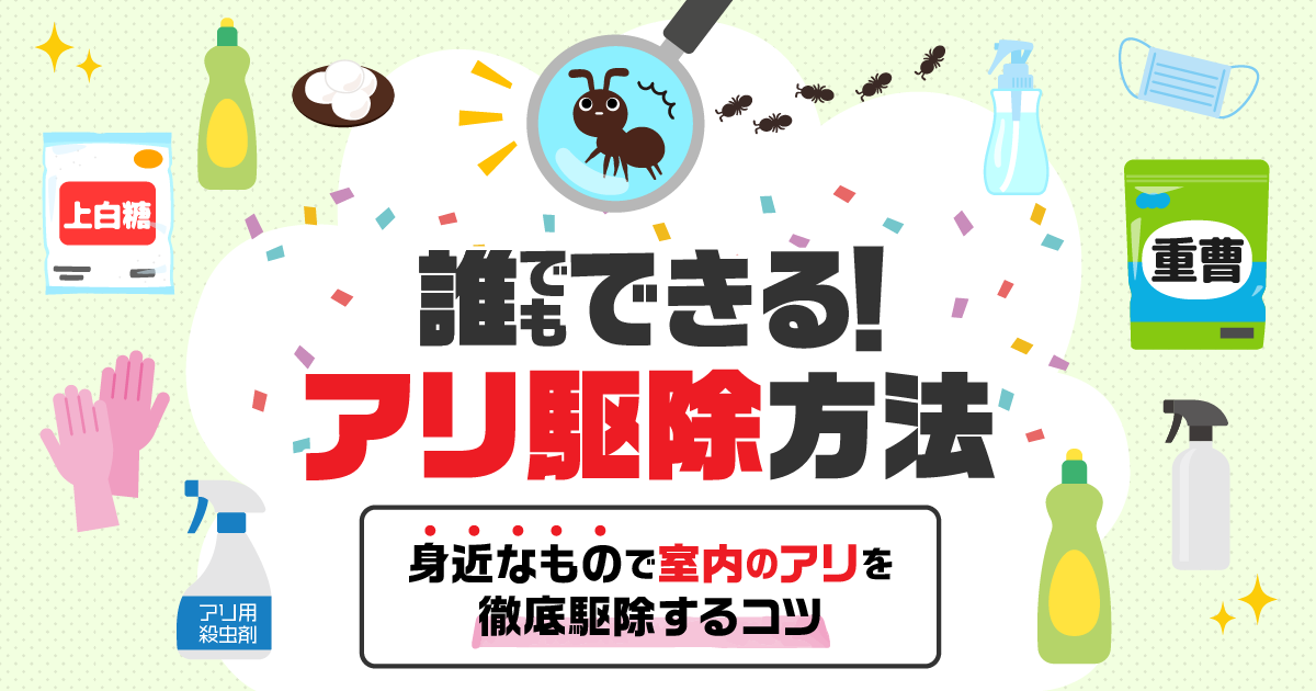 身近なもので室内のアリを駆除する方法