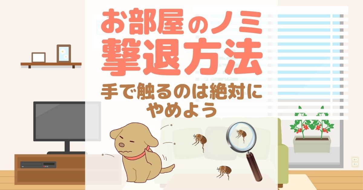 ペパーミントオイルはノミを殺しますか?