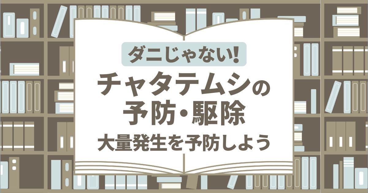 紙につくダニ チャタテムシの正体と駆除方法をわかりやすく解説 害虫駆除110番