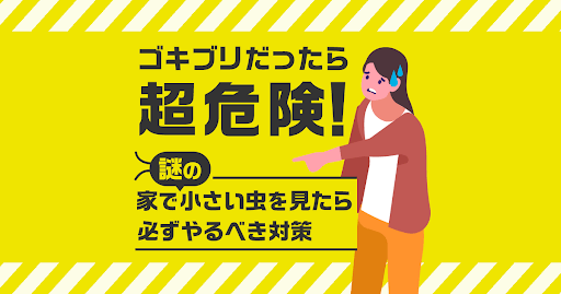 ゴキブリだったら超危険！謎の家で小さい虫を見たら必ずやるべき対策