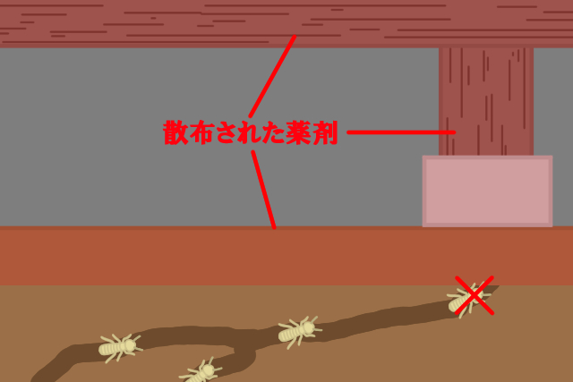 ヤマトシロアリの基礎知識 生態から被害予防駆除方法まで解説 害虫駆除110番