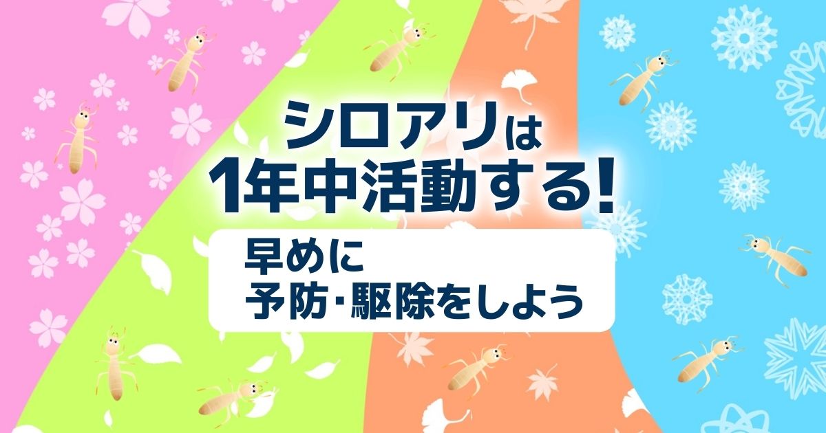 じつは冬も注意 シロアリの発生時期と予防 駆除策 害虫駆除110番